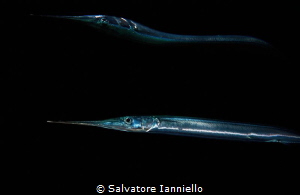 Mirror by Salvatore Ianniello 